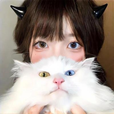 墙，围墙