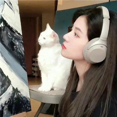 我是海鸥